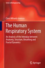 The Human Respiratory System: An Analysis of the Interplay between Anatomy, Structure, Breathing and Fractal Dynamics 2013
