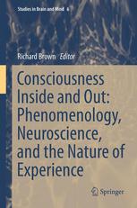 Consciousness Inside and Out: Phenomenology, Neuroscience, and the Nature of Experience 2013