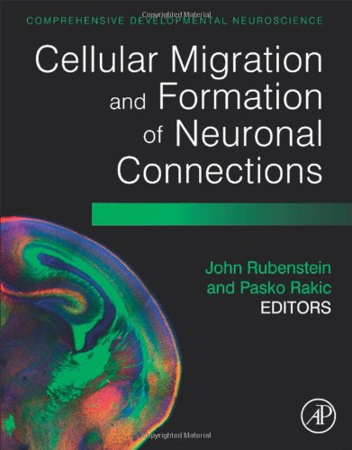 Cellular Migration and Formation of Neuronal Connections: Comprehensive Developmental Neuroscience 2013