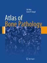 Atlas of Bone Pathology 2013