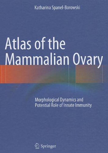 Atlas of the Mammalian Ovary: Morphological Dynamics and Potential Role of Innate Immunity 2012