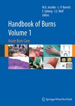 Handbook of Burns Volume 1: Acute Burn Care 2011