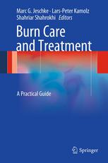 Burn Care and Treatment: A Practical Guide 2013