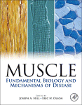 Muscle 2-Volume Set: Fundamental Biology and Mechanisms of Disease 2012