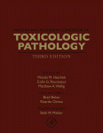 Haschek and Rousseaux's Handbook of Toxicologic Pathology 2013