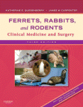 Ferrets, Rabbits, and Rodents: Clinical Medicine and Surgery 2012