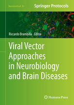 Viral Vector Approaches in Neurobiology and Brain Diseases 2013