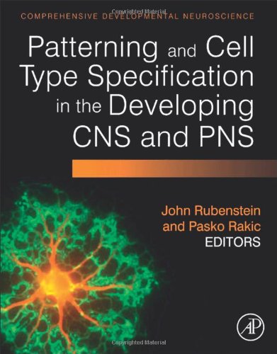Patterning and Cell Type Specification in the Developing CNS and PNS: Comprehensive Developmental Neuroscience 2013