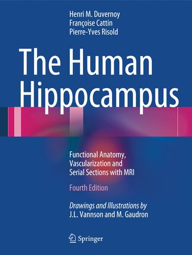 هیپوکامپ انسان: آناتومی عملکردی، عروق و بخش های سریال با استفاده از تصویربرداری تشدید مغناطیسی