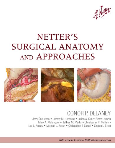 Netter's Surgical Anatomy and Approaches 2013