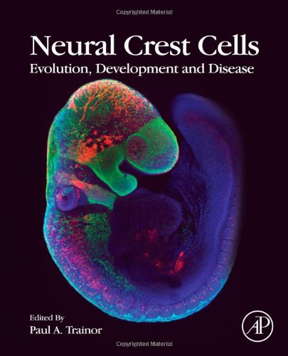 Neural Crest Cells: Evolution, Development and Disease 2013