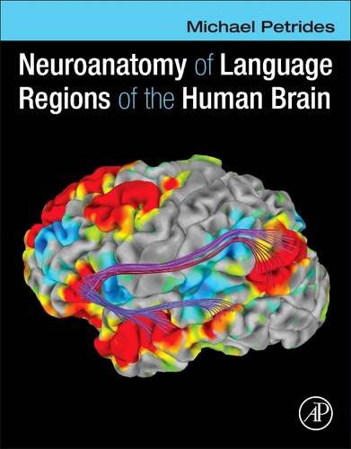 نوروآناتومی نواحی زبانی مغز انسان