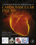 Cellular and Molecular Pathobiology of Cardiovascular Disease 2014