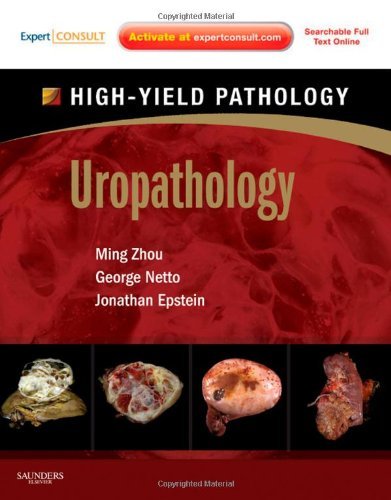 Uropathology 2012