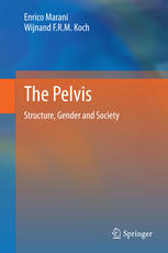 The Pelvis: Structure, Gender and Society 2014