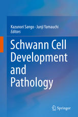 Schwann Cell Development and Pathology 2014