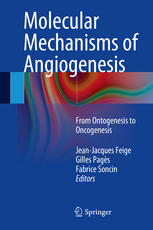 Molecular Mechanisms of Angiogenesis: From Ontogenesis to Oncogenesis 2014
