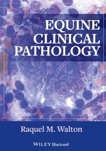Equine Clinical Pathology 2013