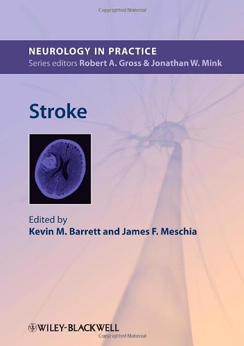 سکته مغزی ۲۰۱۳