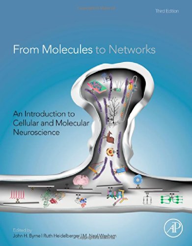 از مولکول ها تا شبکه ها: مقدمه ای بر علوم اعصاب سلولی و مولکولی