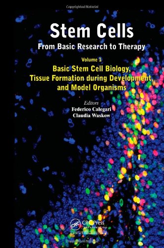 Stem Cells: From Basic Research to Therapy, Volume 1: Basic Stem Cell Biology, Tissue Formation during Development, and Model Organisms 2014