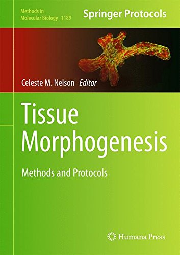 Tissue Morphogenesis: Methods and Protocols 2014