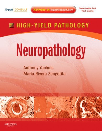 Neuropathology: A Volume in the High Yield Pathology Series (Expert Consult - Online and Print) 2013