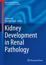 Kidney Development in Renal Pathology 2014