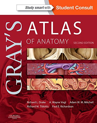 Gray's Atlas of Anatomy 2015