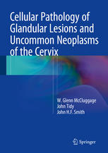 Cellular Pathology of Glandular Lesions and Uncommon Neoplasms of the Cervix 2014