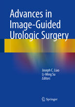 Advances in Image-Guided Urologic Surgery 2014