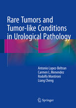 Rare Tumors and Tumor-like Conditions in Urological Pathology 2014
