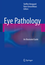 Eye Pathology: An Illustrated Guide 2014