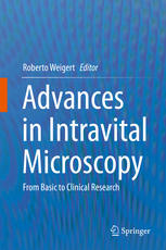 Advances in Intravital Microscopy: From Basic to Clinical Research 2014