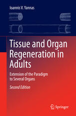 Tissue and Organ Regeneration in Adults: Extension of the Paradigm to Several Organs 2014