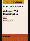 Abdominal Wall Reconstruction, An Issue of Surgical Clinics 2013