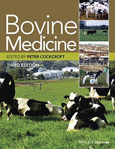 Bovine Medicine 2015