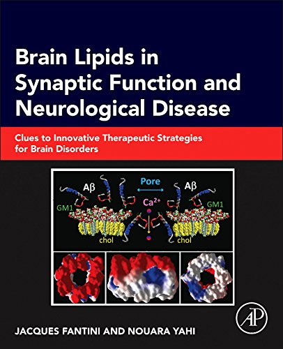 Brain Lipids in Synaptic Function and Neurological Disease: Clues to Innovative Therapeutic Strategies for Brain Disorders 2015