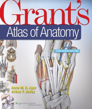 Grant's Atlas of Anatomy 2013