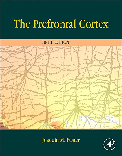 The Prefrontal Cortex 2015
