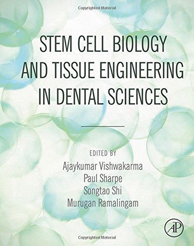 زیست شناسی سلول های بنیادی و مهندسی بافت در علوم دندانپزشکی