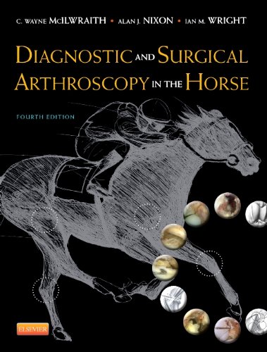 آندوسکوپی تشخیصی و جراحی در اسب