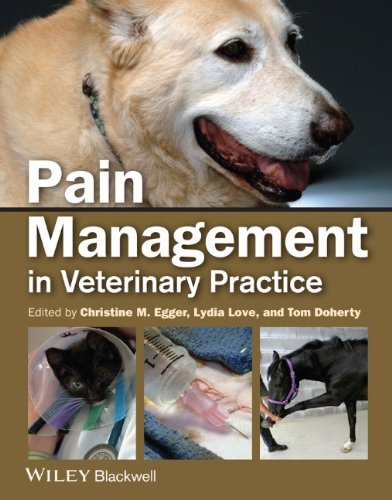 Pain Management in Veterinary Practice 2013