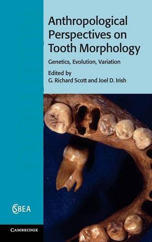 Anthropological Perspectives on Tooth Morphology: Genetics, Evolution, Variation 2013