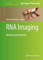RNA Imaging: Methods and Protocols 2015