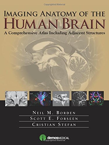تصویربرداری آناتومی مغز انسان: اطلسی جامع که شامل ساختارهای مجاور است