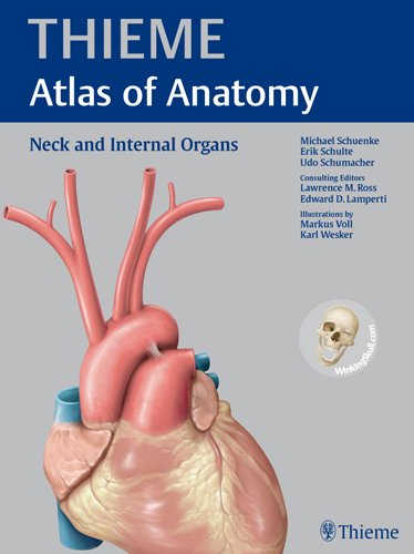 Neck and Internal Organs 2010
