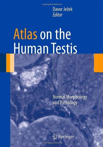 Atlas on the Human Testis: Normal Morphology and Pathology 2012