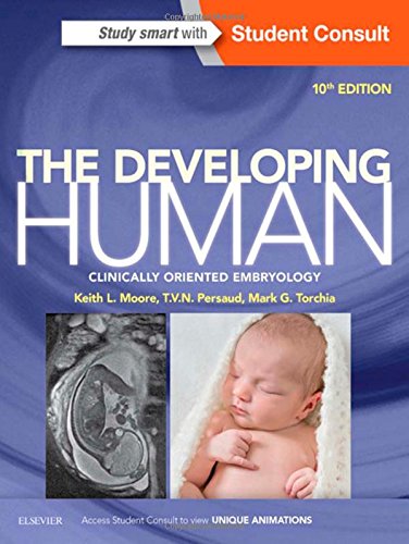 The Developing Human: Clinically Oriented Embryology 2015