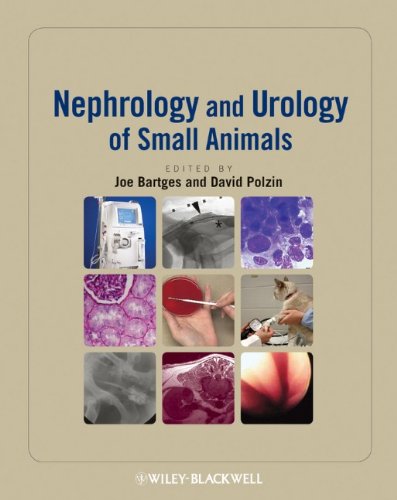 Nephrology and Urology of Small Animals 2011